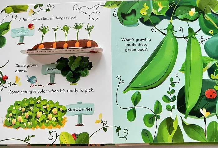 Usborne Peep Inside The Farm 3D رفرف كتب مونتيسوري الإنجليزية للأطفال قراءة كتاب صور المعرفة الطبيعية