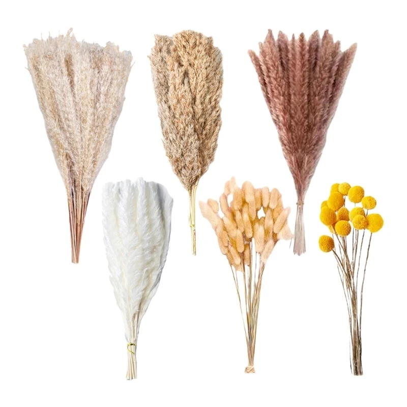 100PCS Pampas Grass Decoration Natural Dried Flower Farmhouse Arrangement Wedding Centerpiece For Living Room high quality