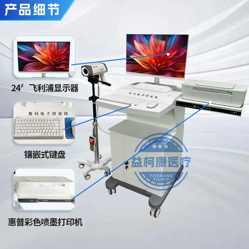 Digital electronic colposcopy with screen handle Gynecological endoscope high definition medical equipment Instrument