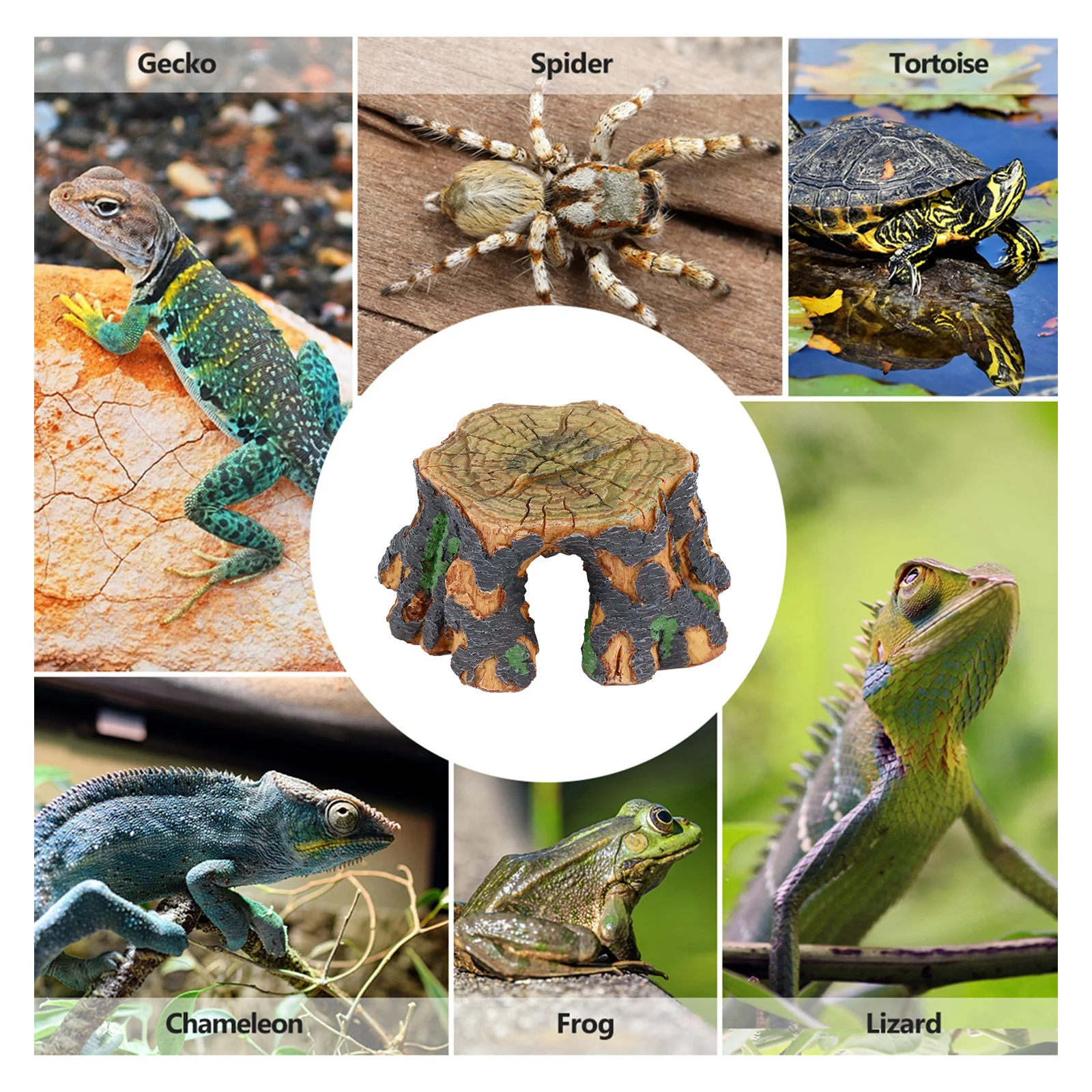 مأوى راتينج كهف الزواحف مع جذع شجرة فريد من نوعه سرير تررم مقاوم للاهتراء للسحالي السلاحف عش العنكبوت خزان الأسماك