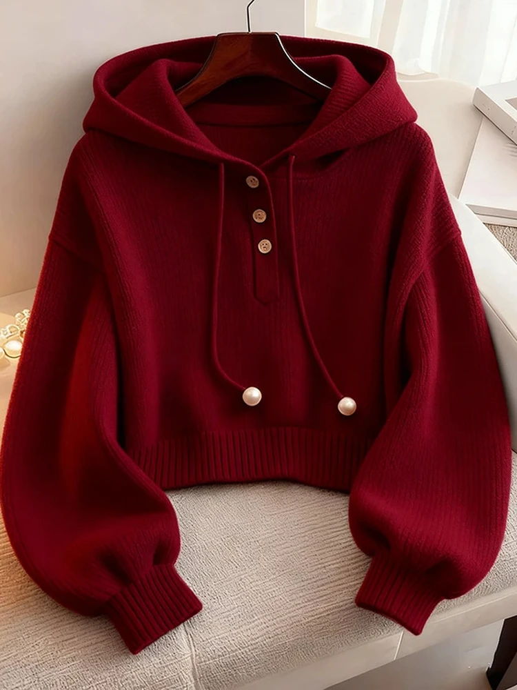 Early Autumn Korean Style Atmosphere Loose Feel Rich Two-Piece Set Fashionable Casual Princess Sleeve Warm Mid-Length Skirt