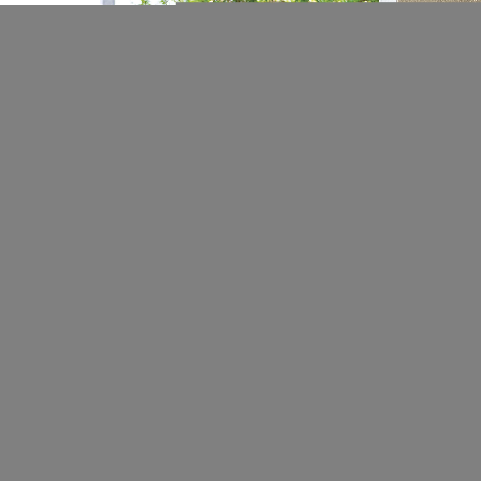 

Wood Planter Box Lattice Trellis Outdoor Raised Garden Bed Climbing Plants