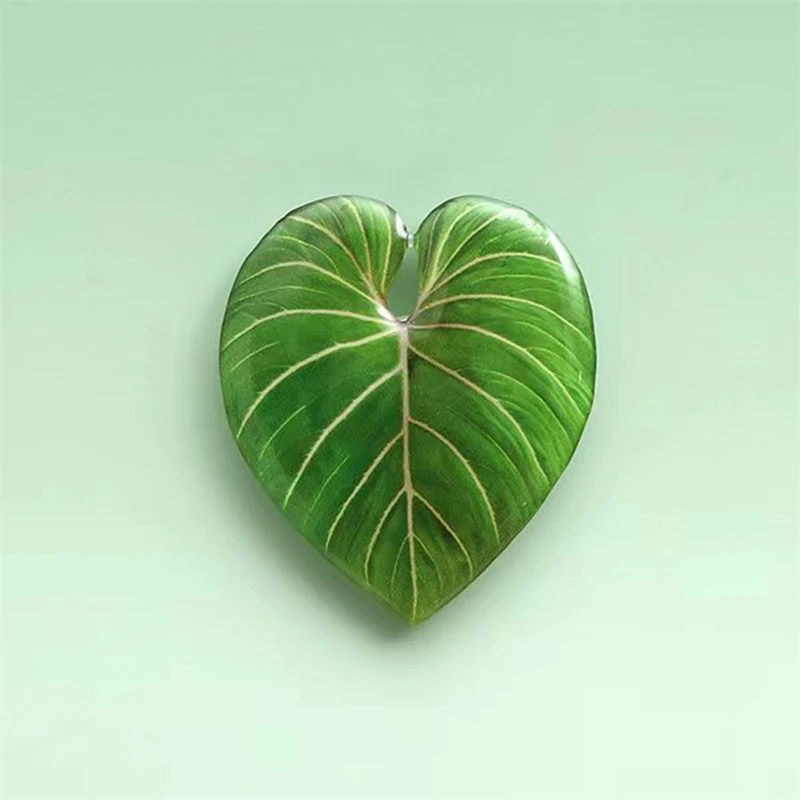 Poppings Socket Folding Grip Pretty Leaf Acryl-Telefonhalter für iPhone Samsung Xiaomi Universal Phone Griptok – Detail 6