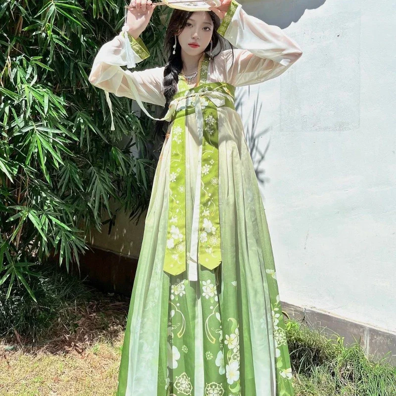 Chinese Style Elegant Hanfu Dress Set Cosplay Fairy Costume Dress Tang Dynasty Traditional Women Vintage Princess Dance Robes