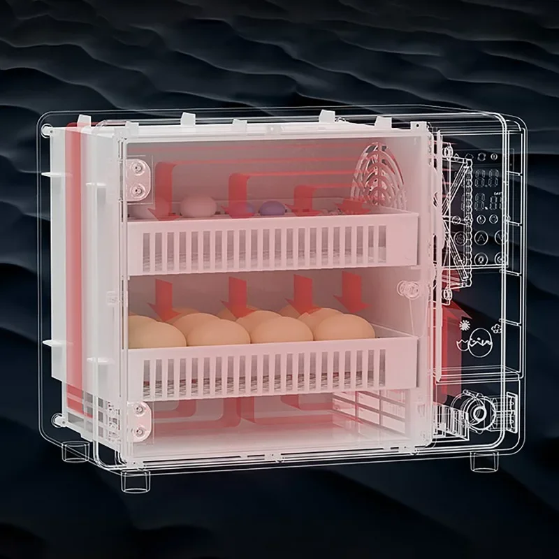 24 Eggs Incubator Fully Automatic Turning Hatching Brooder Farm Bird Quail Chicken Poultry Farm Hatcher Turner Incubation Tool 6