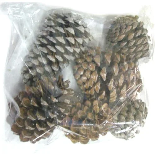 Euro Flora Cones 6'lı Package 8 - 13 cm