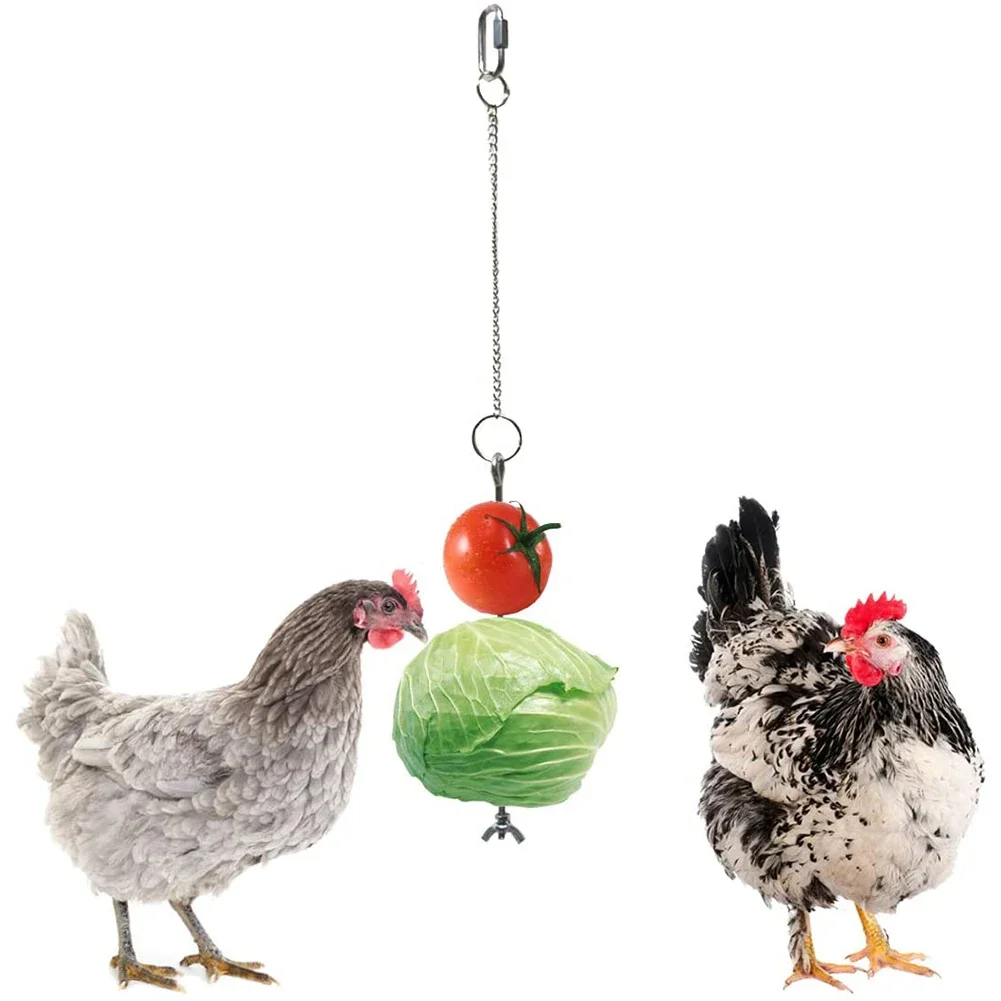 

Pet Parrot Stainless Steel Feeder Fruit Corn Fork Toys Chicken Vegetables Holder Hanging Feeding Birdcage Accessories