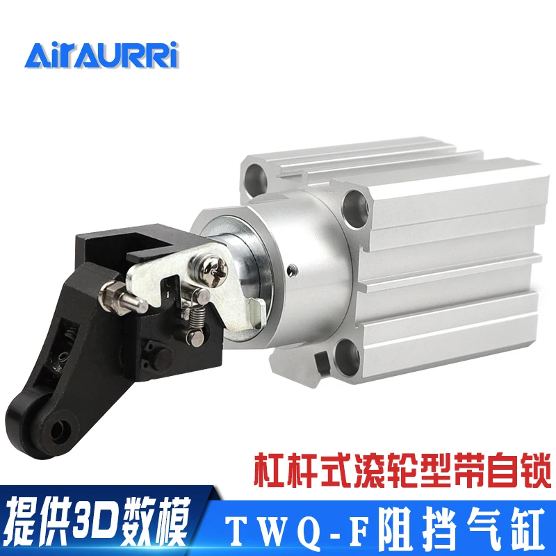 Twq32x0f Lever Roller Type Cylinder with Self-locking Blocking 40x10x20 50 AIRAURRI