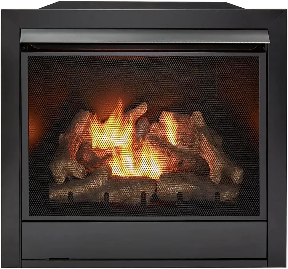 Dual Fuel Ventless Gas Fireplace Insert - 32,000 BTU, Remote Control - Model# FDI32R