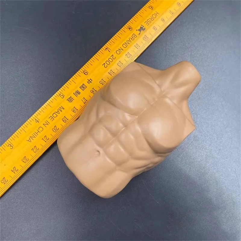 

DAM 1/6 Soldier Modern Trend Trendsetter's Muscle Half Body Rubber Cover High Quality Model Fit 12'' Action Figure In Stock