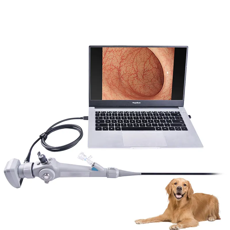 Professional veterinary equipment Veterinary Portable Flexible CMOS 4.8mm USB Video  for Small Animal