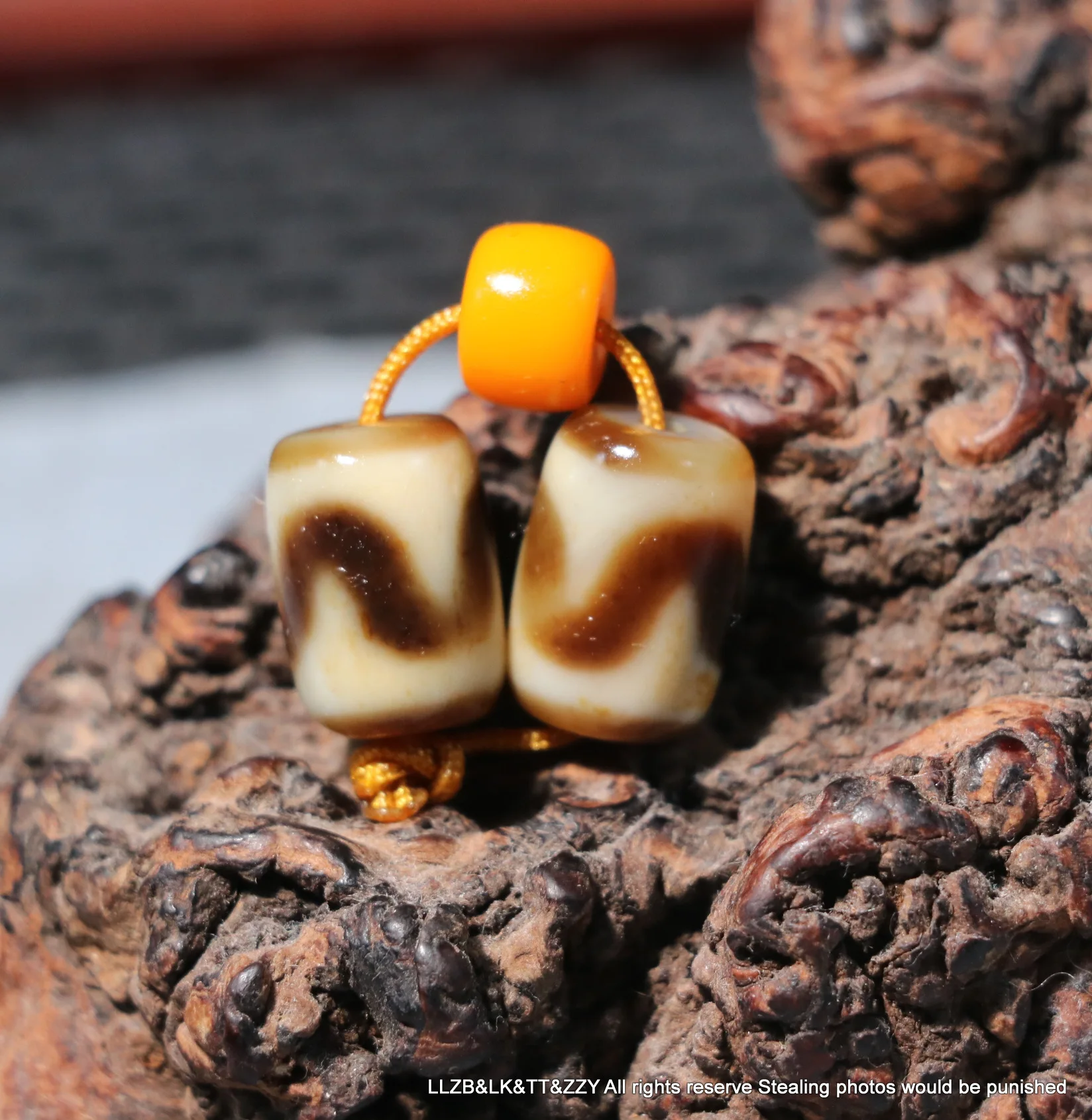 A Pair of Magic Tibetan Old Agate Ivory Color Tiger Tooth Rich Shape Totem dZi Bead R Timestown For Jewelry UPD210106A