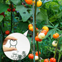 Stem Clip Plant Support Vine Plastic Clips Flower Grow Upright Branch Clamping Garden Plant Support Clips 100/200pcs