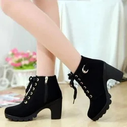 Women High Heeled Ankle Boots Ladies Autumn Winter Womens Shoes High Heels 8.5cm Female Boot Botas De Mujer Plus Size 2024