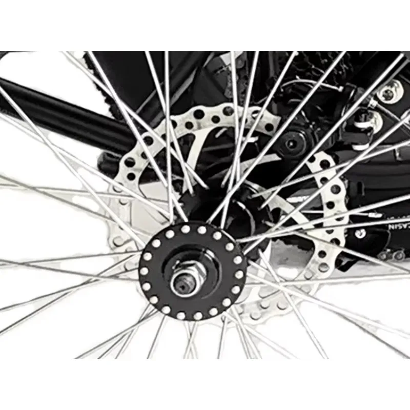 Popular Easy Seller 3 Wheels Aluminum Cargo E-tricycle Lithium Battery 48V 500W 24/20 Inch Fat Tire Electric Bicycle