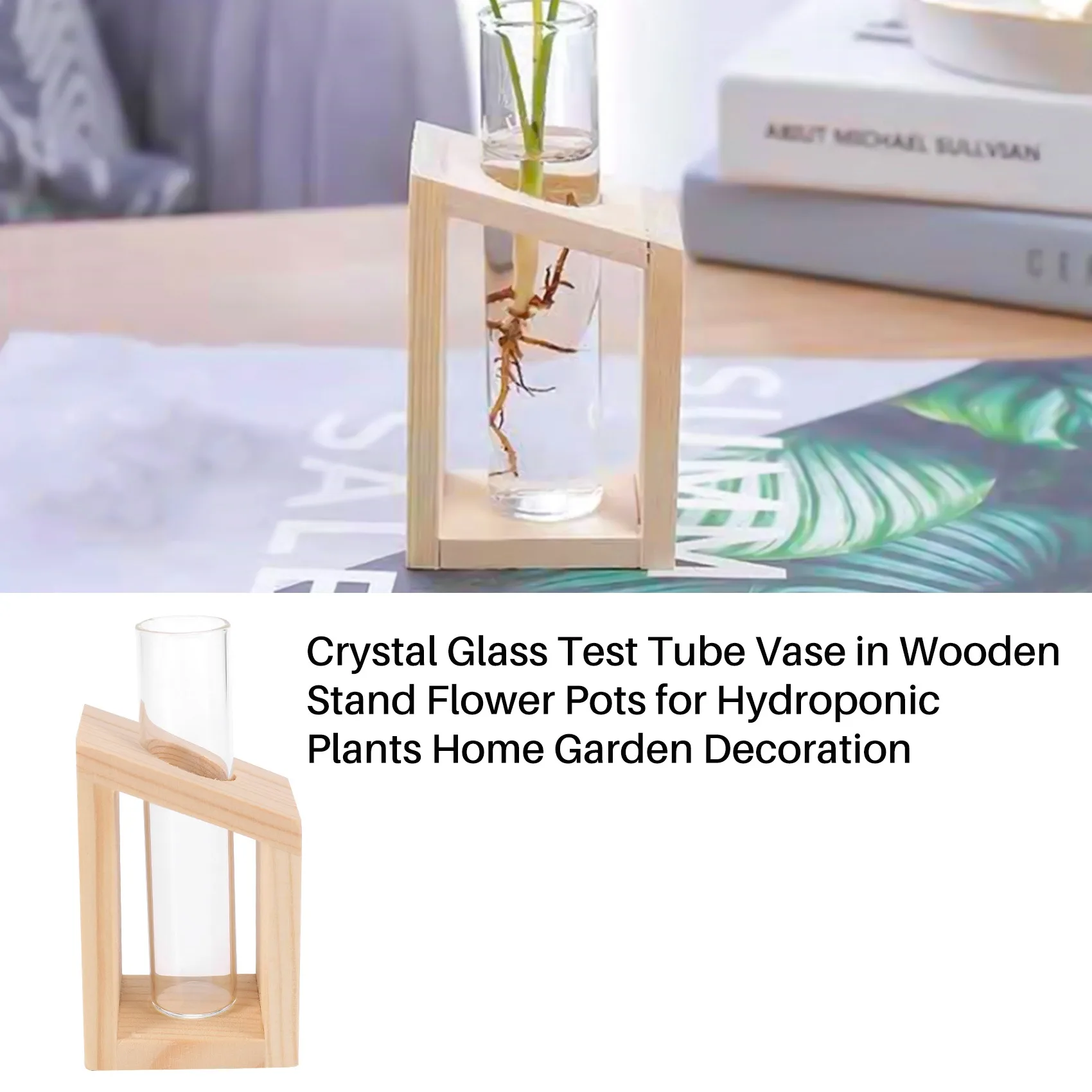 Crystal Glass Test Tube Vase in Wooden Stand Flower Pots for Hydroponic Plants Home Garden