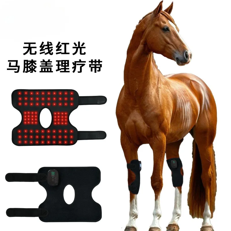 

Horse knee infrared pet sports wound recovery equine rear phototherapy device red light knee pads physiotherapy light non-slip