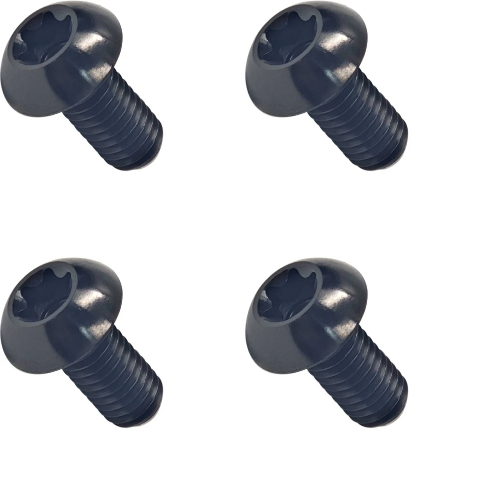 4 Stück M5x12mm M5x10mm Titan-Schrauben für MTB-Fahrrad-Flaschenhalter, Titan-Fahrrad-Hardware
