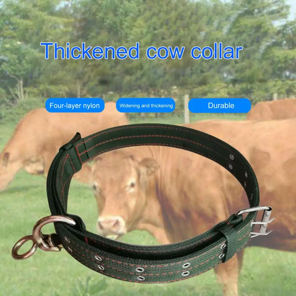 Large Dogs Collar  Four-layer Nylon   Cattle Collar Cattle Ropes Dog Head Collar