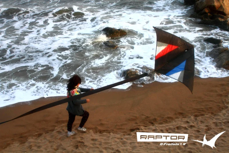 Envío Gratis, cometa Freilein, pipas de una sola línea para adultos, pipas voladoras de interior, pipa de águila flotante, pipa profesional kevlar