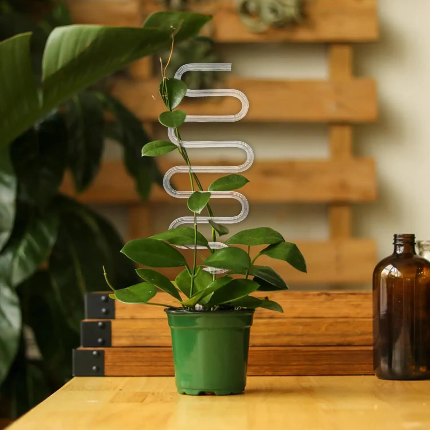 Transparent Curved Acrylic Plant Support Stakes, Invisible Durable Holder for Trailing Vines and Potted Flowers