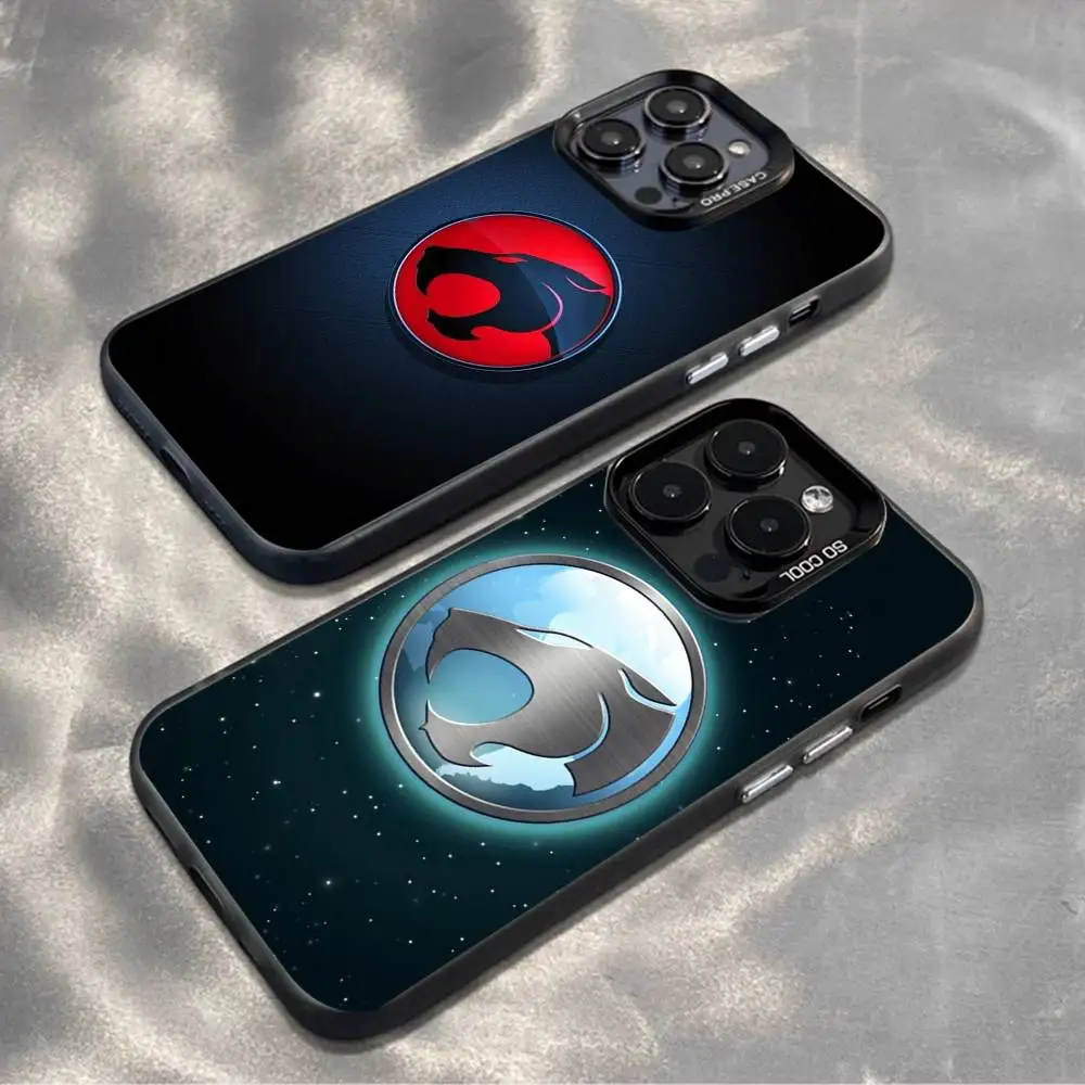 

T-ThunderCats CARTOON Phone Case For iPhone 16,15,14,13,12,11,Mini,Pro,MAX,plus,Black Matte Shockproof Cover