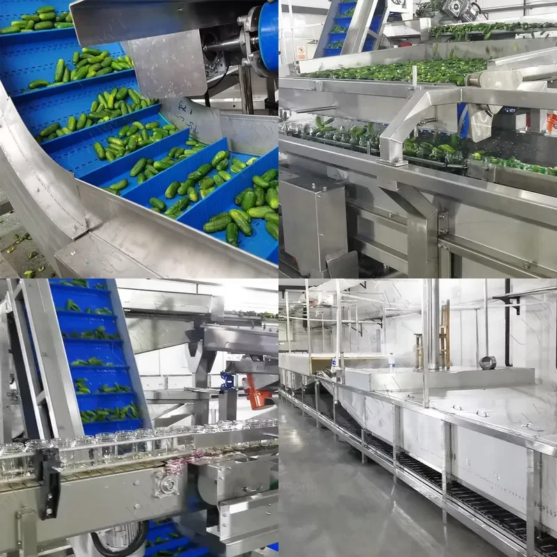 2026 CE Leadworld Multifunction Automatic Heat Exchanger Canned Vegetable Fruit Processing Filling Sealing Labeling High