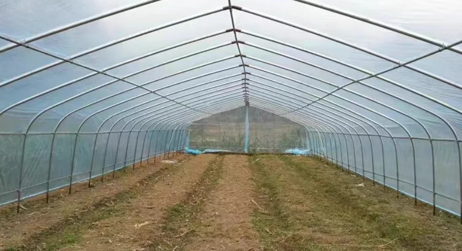 Serra per struttura della casa verde con tunnel in acciaio agricolo 2025Hoop