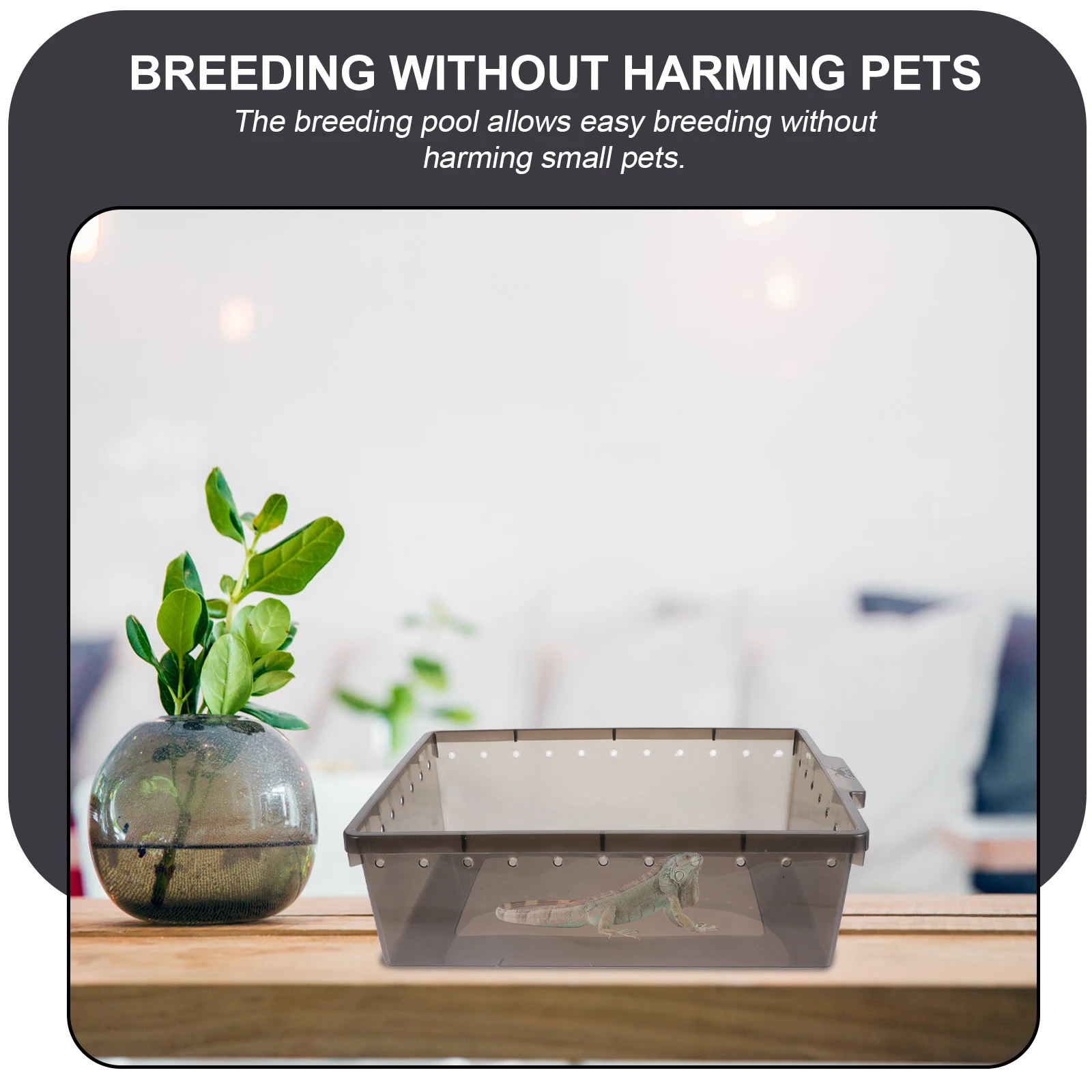 

Plastic Reptile Breeding Cage Feeding Box for Spiders Lizards Small Turtles Transparent Container Breathable Hole Sturdy Durable