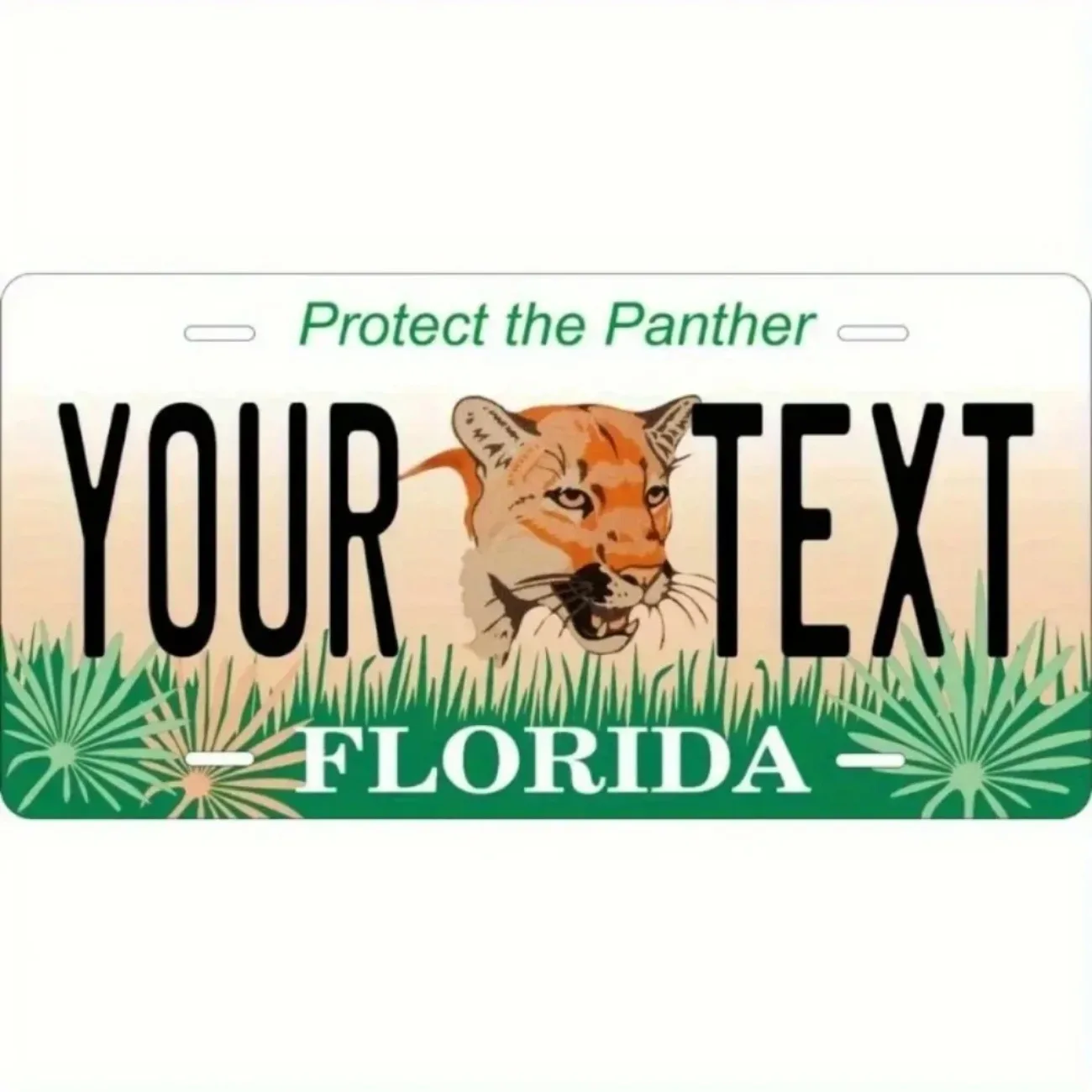 1 قطعة لوحة ترخيص ألومنيوم فلوريدا مخصصة |   12x6 بوصة نص شخصي تصميم فريد من نوعه |   ديكور السيارة الأمامي والمنزل (الديكور فقط)