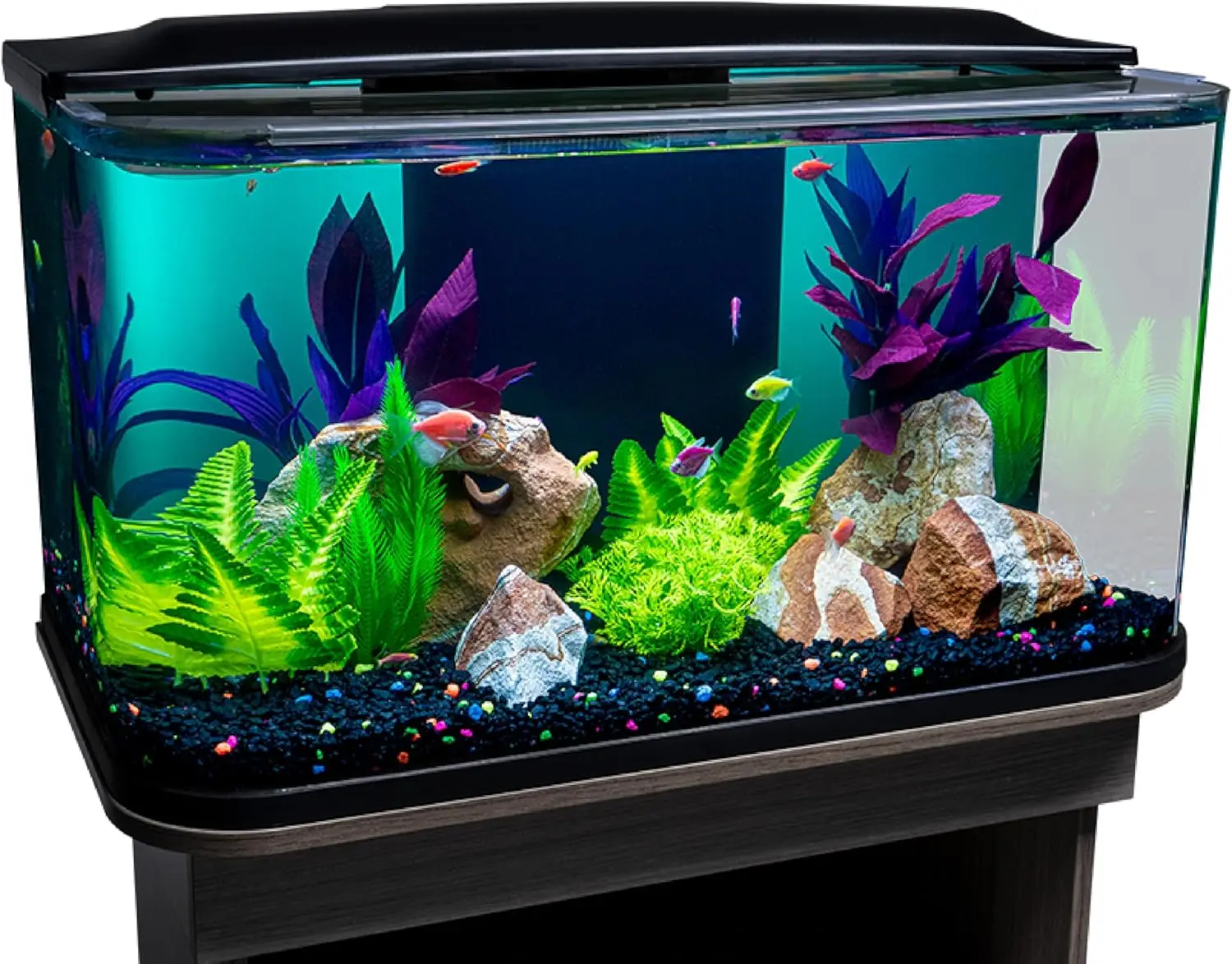 20 Gallon Curved Glass Aquarium Kit with Blue LED Light Stick & Integrated Filtration, Perfect for Beginners or Hobbyists