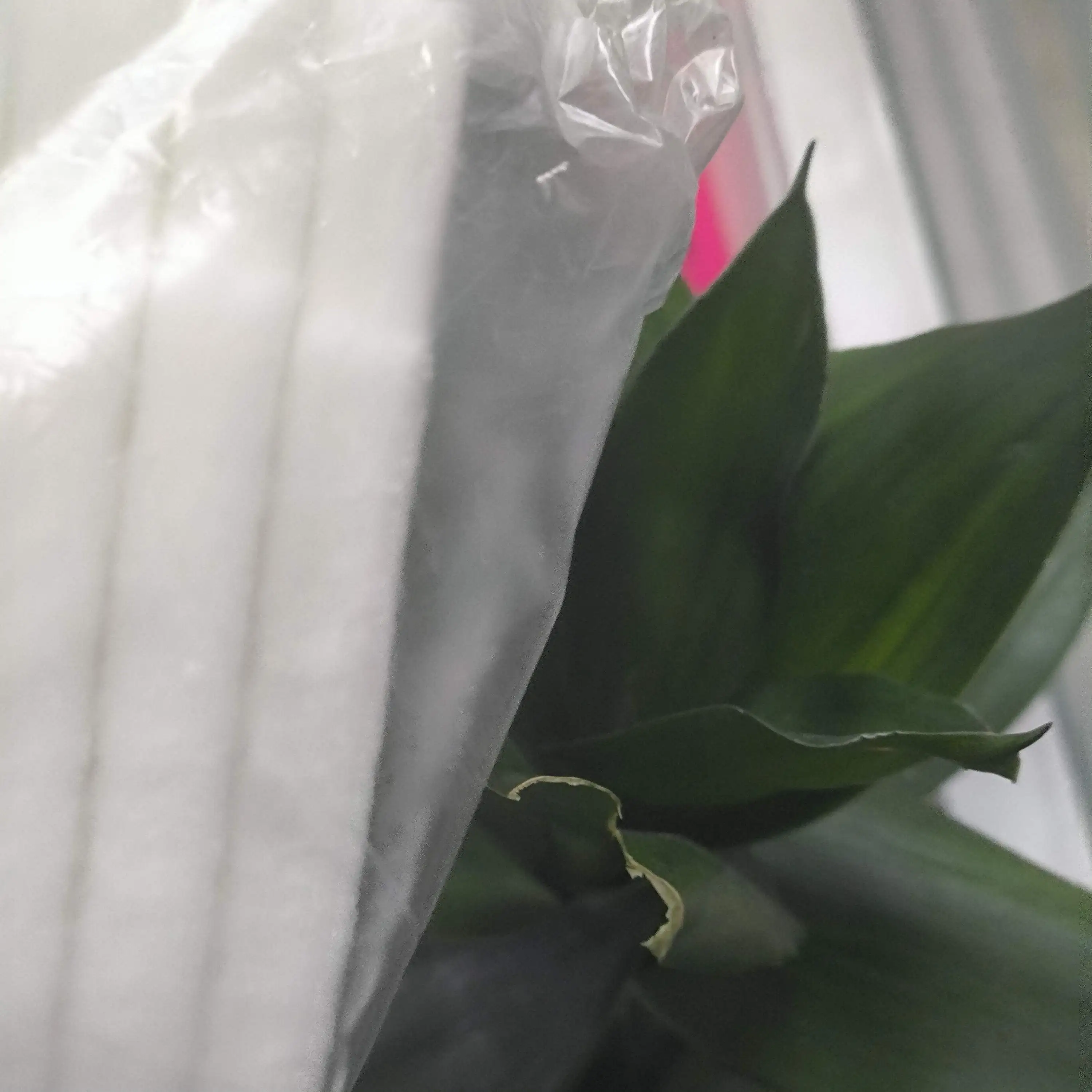 

1X LEK119001 Губка для поглотителя чернил для BROTHER DCP J100 J105 J132W J152W J172W T300 T500W T700W MFC J200 J245 T800W