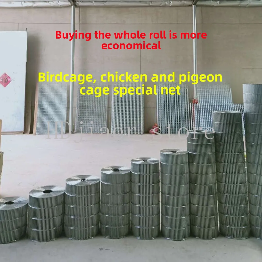 

Thickened Galvanized Long-Hole Welded Wire Mesh - Special Roll Mesh for Breeding / Protection (Chicken and Pigeon Cages