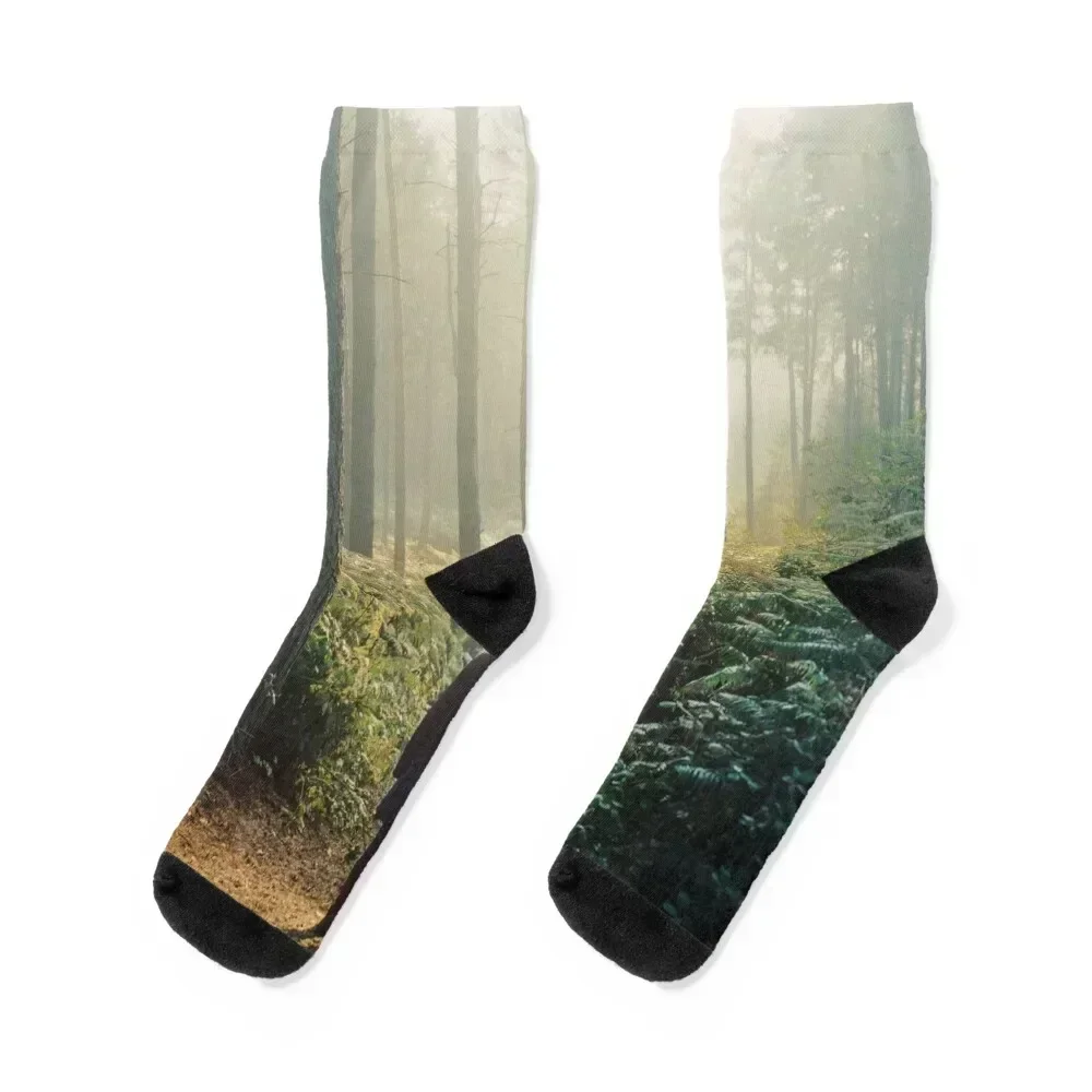 

Playground Socks gift Lots retro Socks Woman Men's
