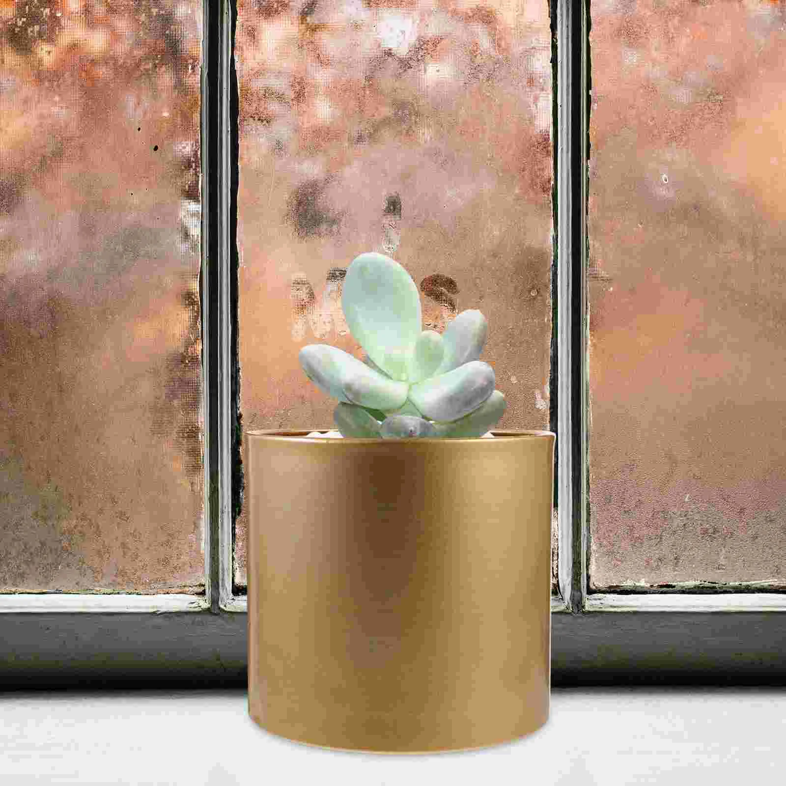 Brushed Gold Large Plant Vase Hug Bucket Flower Pot Saucers for Outdoors Garden Iron Desktop Planter