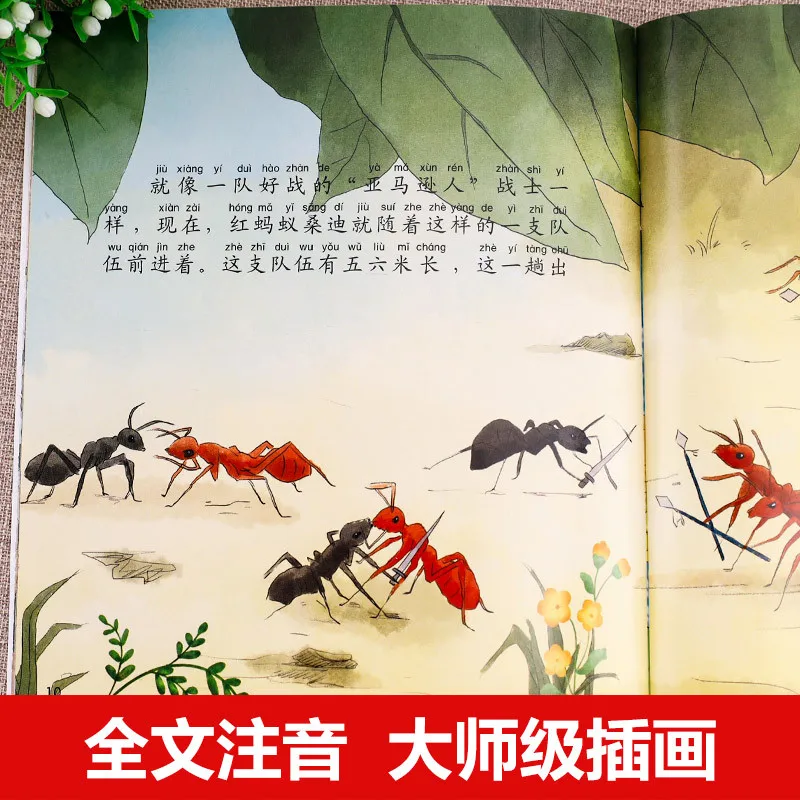 Faber Insect Chronicles 10 Volumes, Children's Science Popularization Picture Books, Extracurricular Reading Books