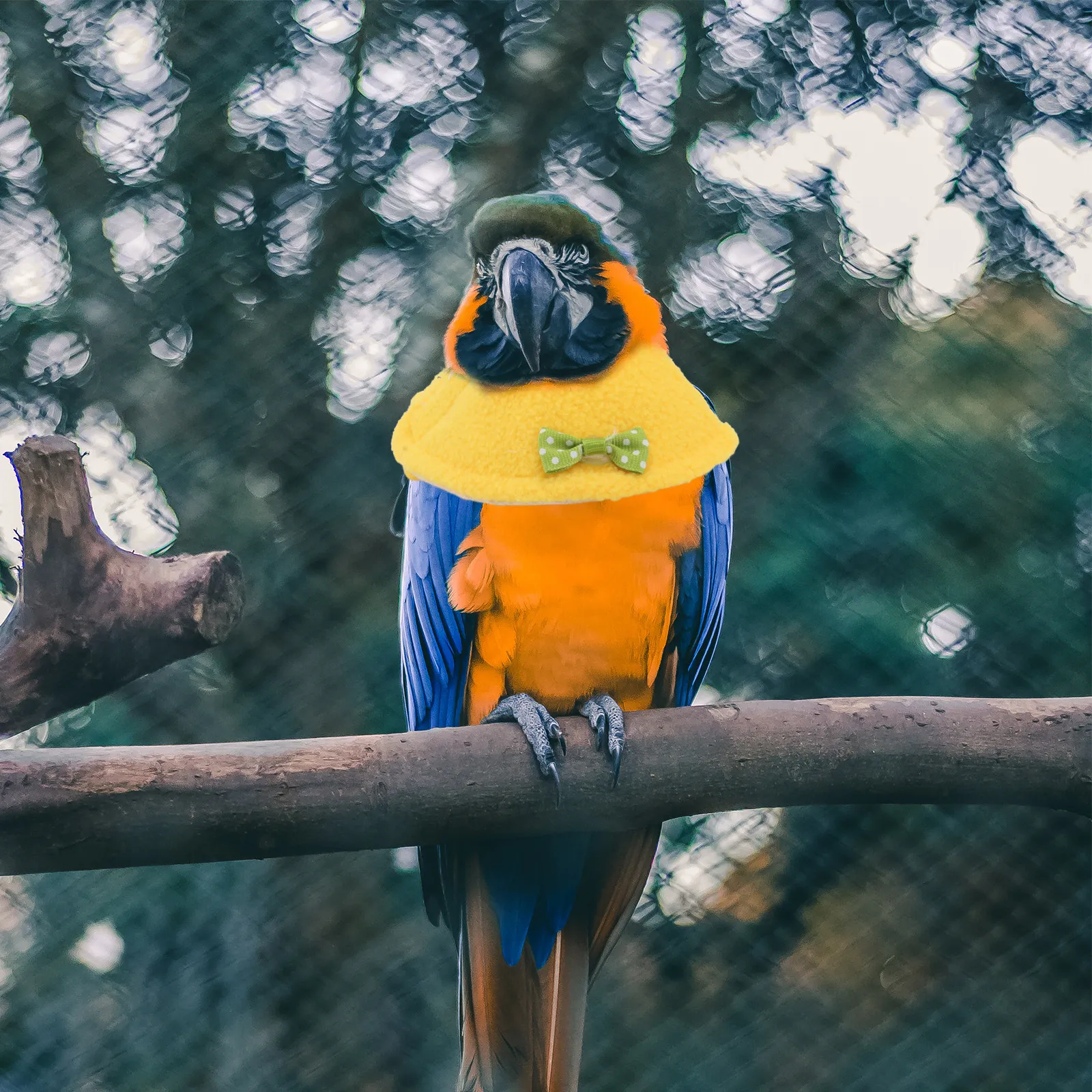 2Pcs Pet Bird Collar Anti-Pecking Protective Neckband for Injury Recovery Stylish Parrot Accessory Prevents Licking Scratching