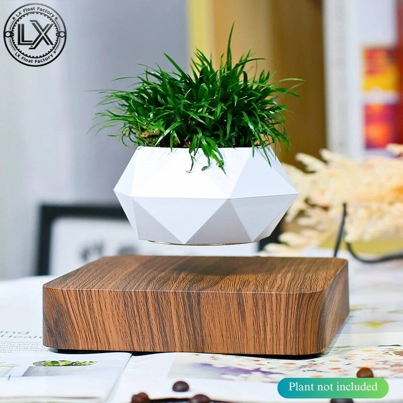 Floating Plant Pot Magnetic Levitating Plant Pot for Succulents Air Bonsai and Fake Flowers