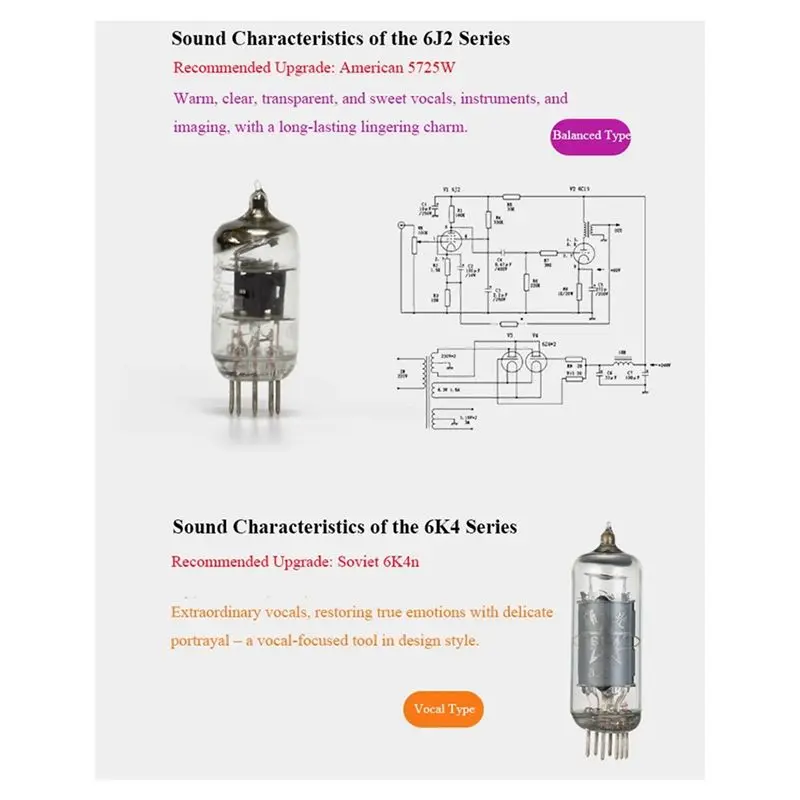 Y44A HIFI Vacuum Tube Power Amplifier 6N51 Bluetooth 5.3 STA540 38W Output Home Audio