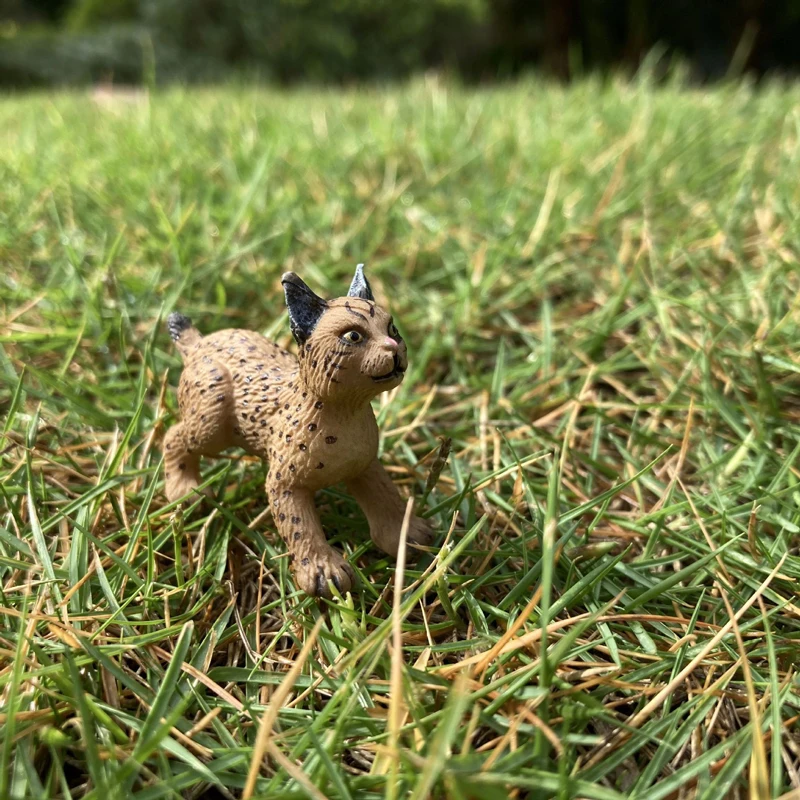 Realistic Animal Toy Model Mini Baby Eurasian lynx Resin Figure Figurine Home/Office Decor Collect Toy Kid Early Education