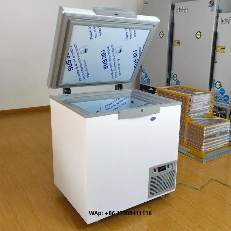 200L -65 Degree Factory Price Compact Deep Chest Freezer Home Small Inverter Freezer