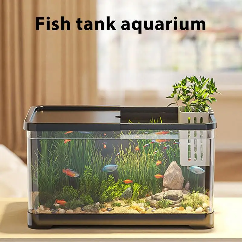 Small Aquarium Fish Tank Kit Creative Fish Aquarium With wall-mounted hydroponic planting basket desktop Ornament home decor