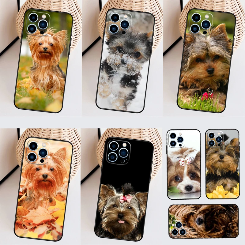 Mini Yorkshire Terr… - image