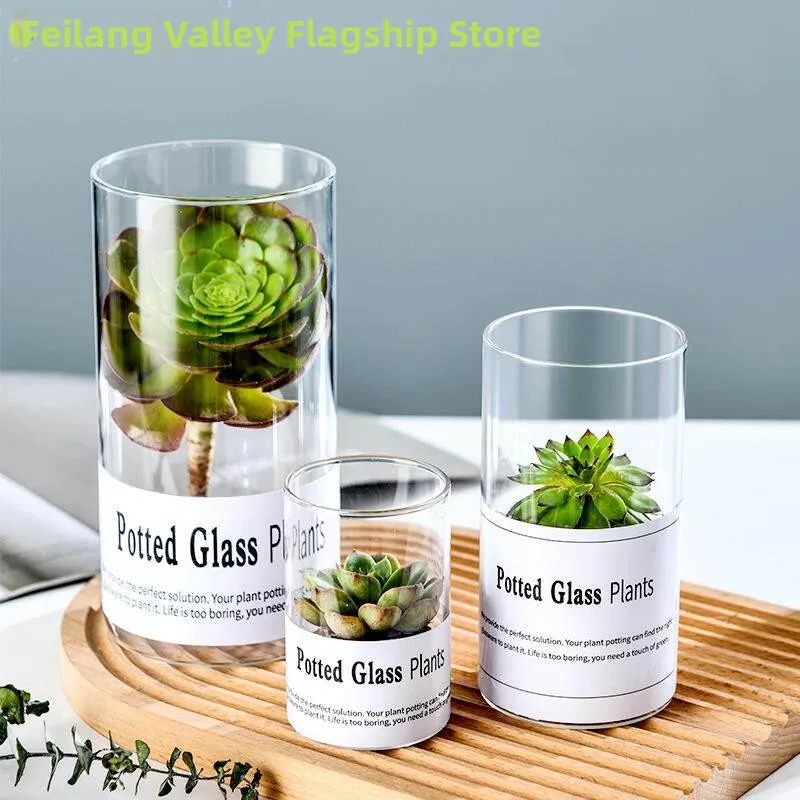open-top-eco-friendly-glass-jar-desktop-decoration-storage-canister-uncovered-hydroponics-miniature-landscape-glass-bottle
