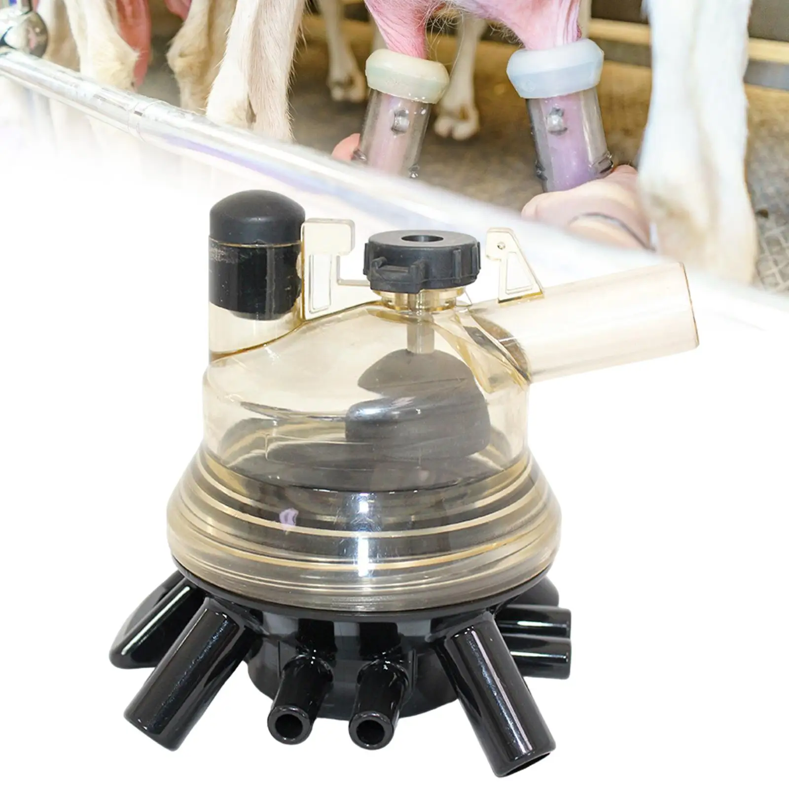 Cow Milk Collector Small Easy Connection with Vacuum Pressure Release Valve Milk Collection Device Milking Machine Accessories