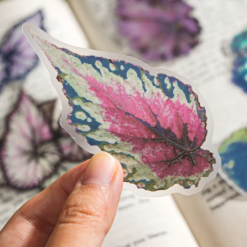 20 個植物花葉 PET ステッカーパックハンドアカウントコラージュジャンクジャーナルプランナースクラップブッキング装飾文具ステッカー