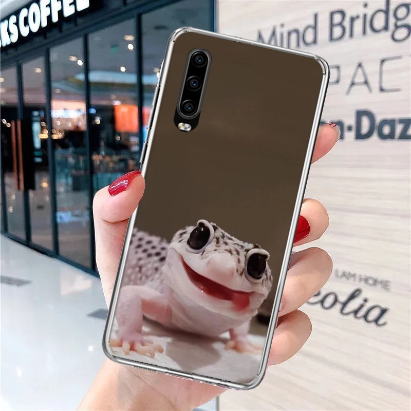 Lizards Geckos Soft Phone Case for Huawei P30 P40 P50 P20 P10 Lite Mate 20 10 Pro P Smart Z Y5 Y6 2019 Print Custom Cover