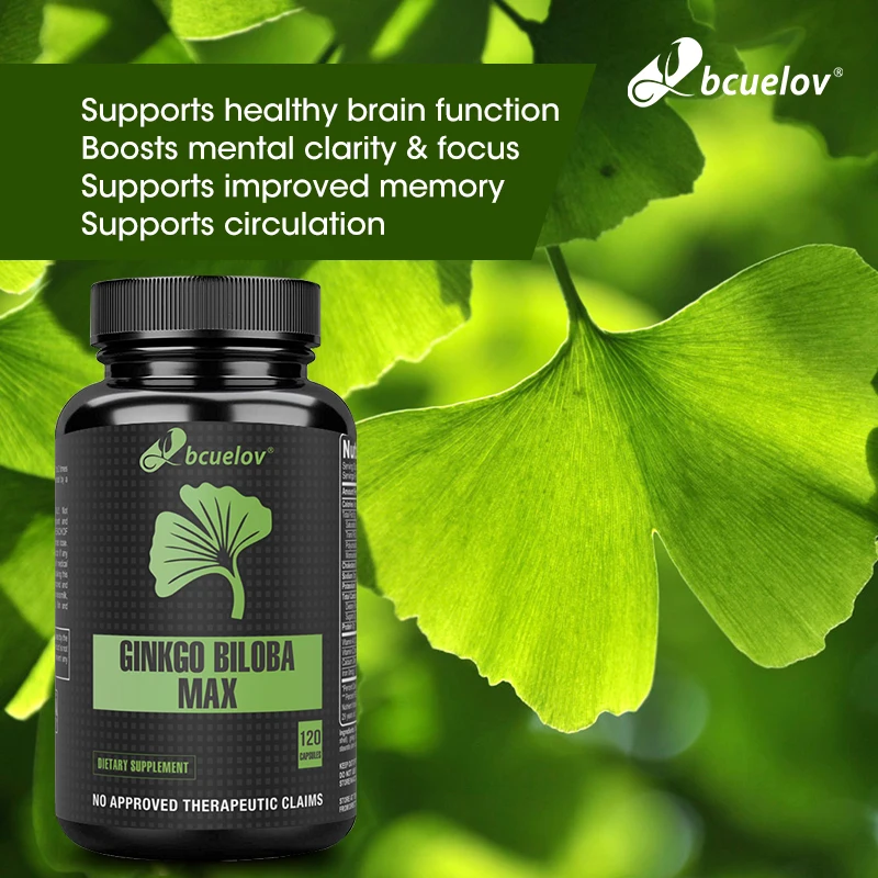 Ginkgo Biloba Enhancer, Supports Brain Function and Memory, Improves Thinking and Concentration, Mental Clarity, 120 Capsules