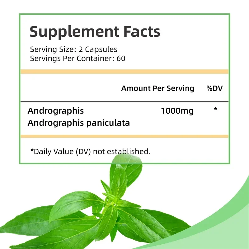 Andrographis - Liver Support, Immune Function, and Joint Health