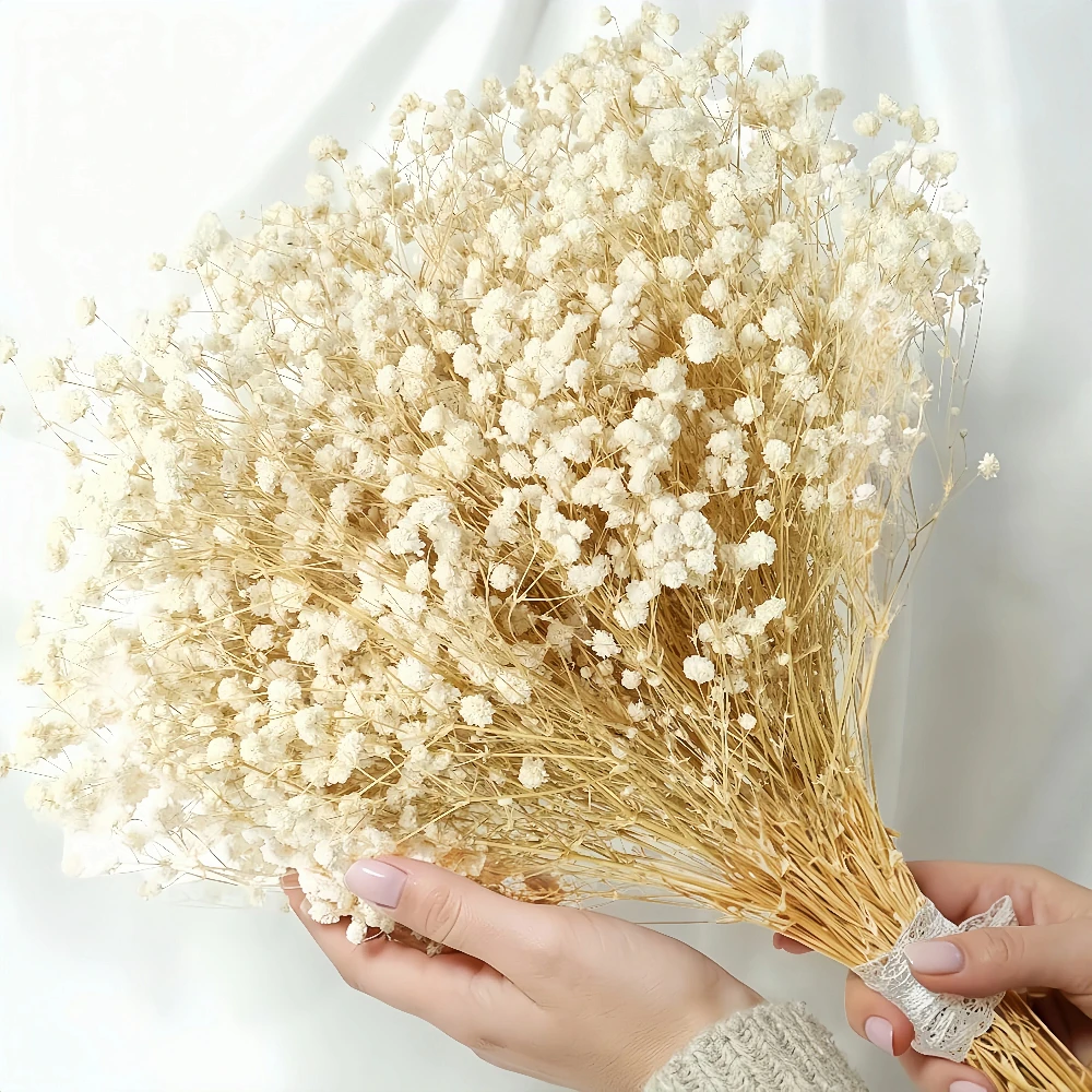 Baby Breath Dried - Natuurlijke gedroogde baby's adem bloemen 2.1oz